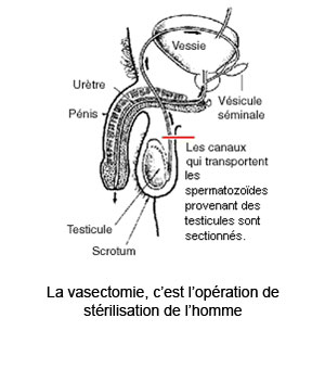 Image paragraphe 48