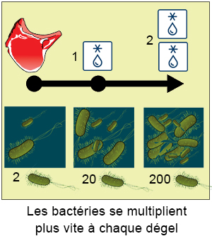 Image paragraphe 15