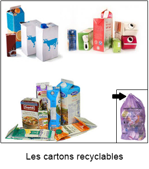 Image paragraphe 20