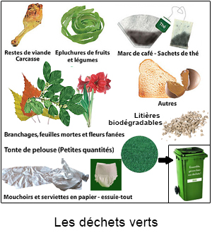 Image paragraphe 28