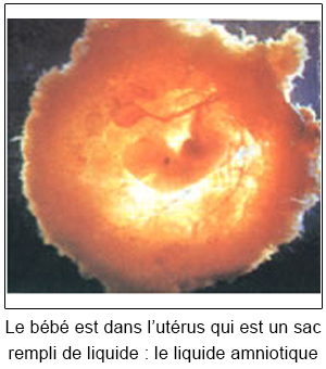 Image paragraphe 18
