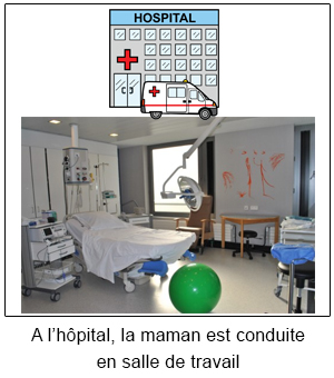Image paragraphe 29