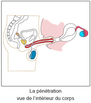 Image paragraphe 6