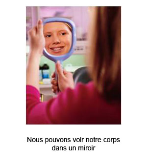 Image paragraphe 7