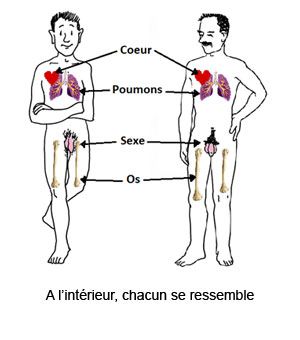 Image paragraphe 53